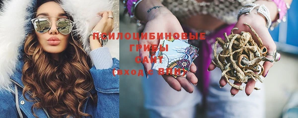 ПСИЛОЦИБИНОВЫЕ ГРИБЫ Абаза