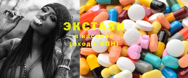 индика Гусев