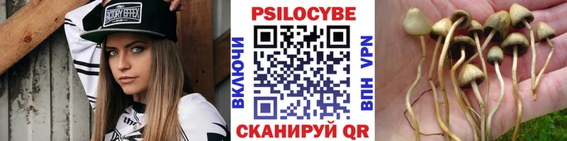 Псилоцибиновые грибы ЛСД MEGA сайт Абакан