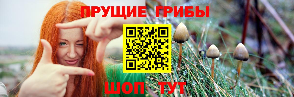 Псилоцибиновые грибы MAGIC MUSHROOMS  Вход с VPN  Абакан 
